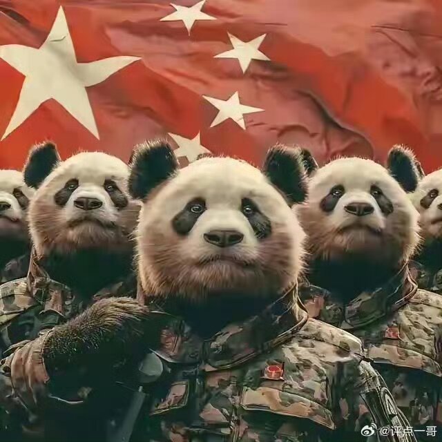 人保大护甲6号旗舰版